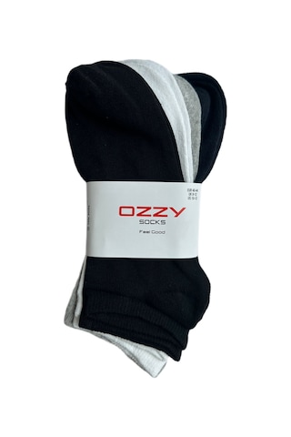 Ozzy Socks 8 Çift Ekonomik Pamuklu Renkli Erkek Patik Çok Renkli