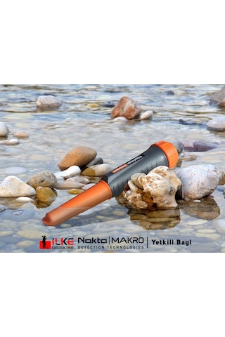 Nokta Pointer N11.129