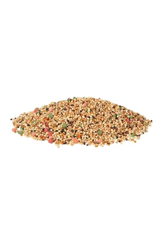 Karışık Renkli Muhabbet Kuş Yemi 250g 250 G