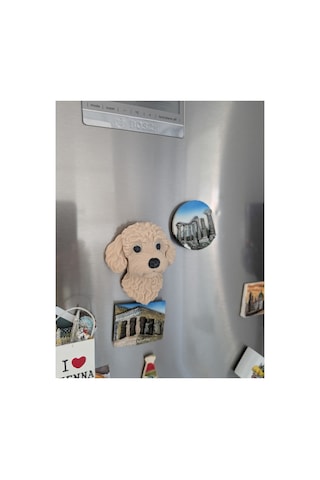 Toy Poodle Köpek Magnet Dekoratif Buzdolabı Magneti Sevimli Köpek Figürü 10 8 Cm