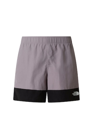 The North Face Leynar Erkek Şort Nf0a8fu8mo61 Gri