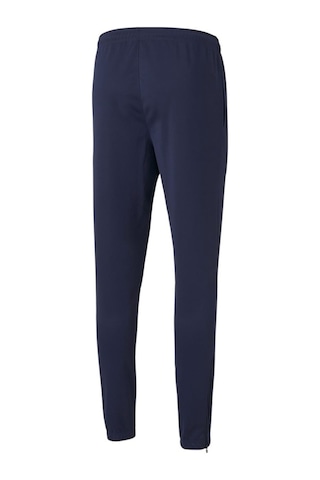 Puma Teamrise Poly Training Pants Erkek Futbol Antrenman Eşofman (535447070) Çok Renkli
