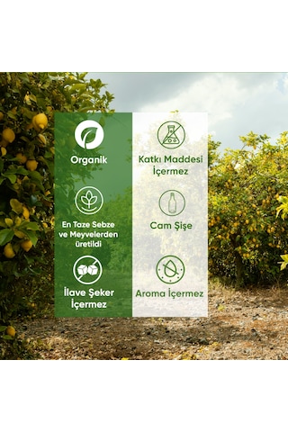 Organik Ek Gıda Seb-cee 100 G