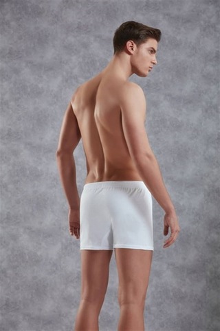 Erkek Boxer 1511 Kahve