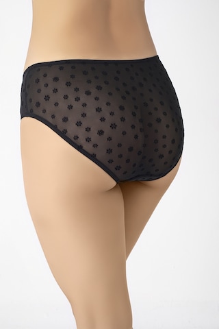 Transparan Kumaş Bikini Kesim Kadın Külot Siyah