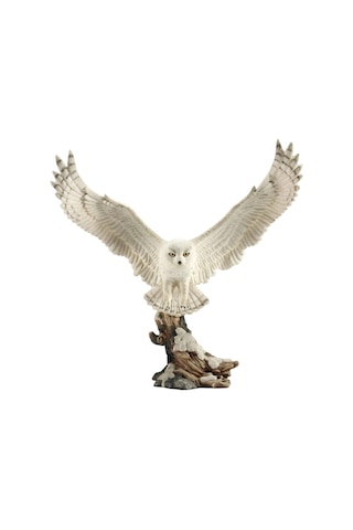 Uçan Beyaz Kar Baykuşu Biblosu