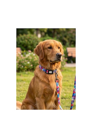 Geri Dönüştürülmüş Doğa Dostu Ayarlanabilir Kedi Köpek Boyun Tasması Pembe Baklava Desenli Pembe