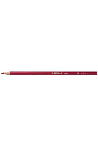 Stabılo Color - Kuru Boya Kalemi - 24'lü Paket - 4 Neon Renk Dahil Çeşitli Renkler 103 Ivory