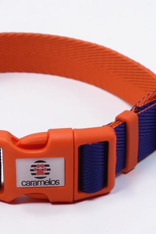 Caramelos Orta Ve Büyük Irk Ayarlanabilir Köpek Boyun Tasması, 2,5 Cm Tl Lacivert - Turuncu