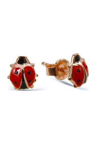 Argentum Concept - Gümüş Uğur Böceği Set