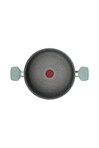 Tefal Halo Okaliptus Derin Tencere- 24 Cm 2100143071
