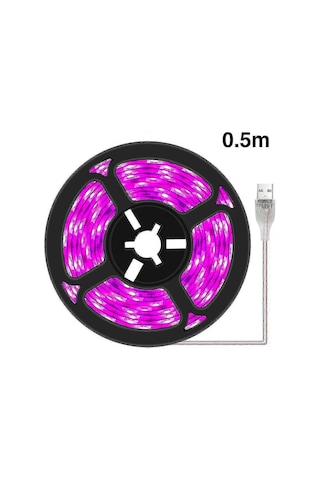 Bitki Işık Şeritleri - İç Mekan Bitkileri, Sukulentler, Hidro Çok Renkli