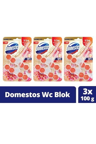 Domestos Tuvalet Bloğu Yıldız Çiçeği & Ejder Meyvesi 3 x 100 G