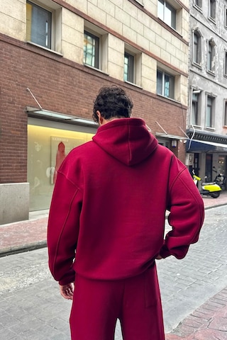 Flaw Basic Hoodie Bordo Bordo