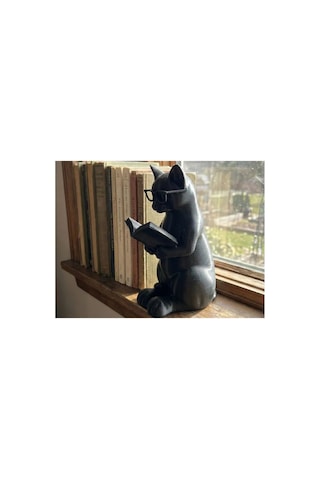 Kitaplık Aksesuarı - Kitap Okuyan Kedi 0