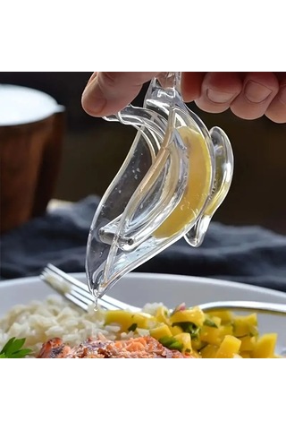 Özel Üretim Sosluk Sofra Süsü Sunum Gereci Kuş Şeklinde Sunumluk Limon Sıkacağı Çok Renkli