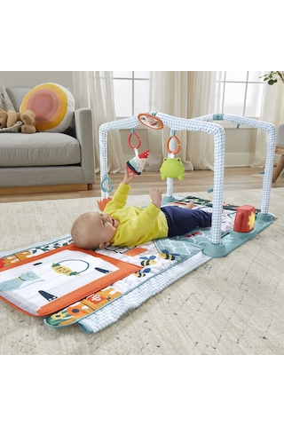 Fisher Price 3'ü 1 Arada Sevimli Kulübe Jimnastik Merkezi
