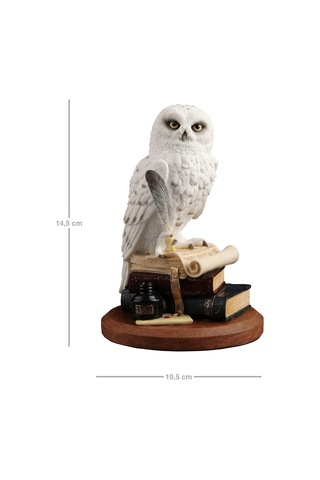 Kitap Üzerinde Beyaz Kar Baykuşu Hedwig Biblosu