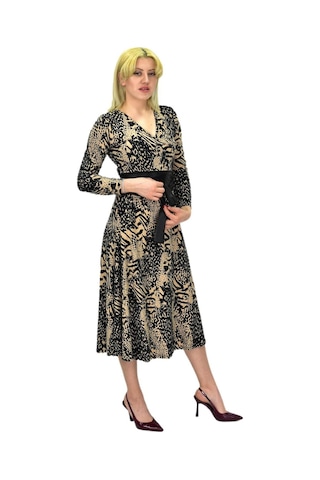 Kadın Viskon Leopar Desenli V Yaka Elbise Bgl-st03536 001