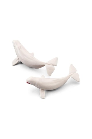Deniz Hayvanları 3d Standlı Hayvan