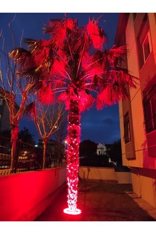 Palmiye Çember Aydınlatma Ip67 35cm