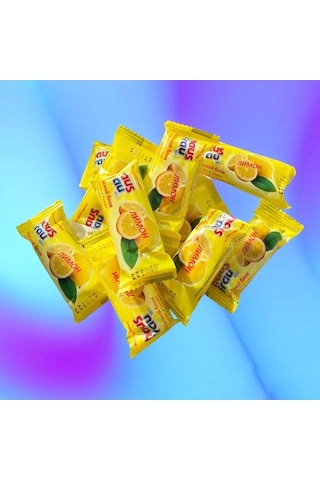 Haus Frau Yedek Blok Tuvalet Tabletleri 207769207