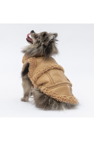 Bej Churchill Yelek Köpek Yeleği Köpek Kıyafeti Köpek Yağmurluk