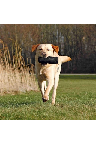 Trixie 32533 6 x 18 CM Köpek Koku Eğitim Oyuncağı