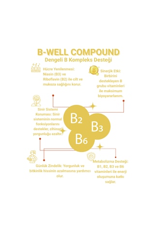 B Well Compound B1 B2 B3 B6 Vitaminleri İçeren 90 Tablet