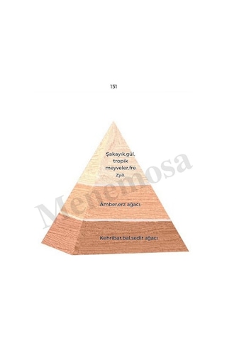 Bargello 151 Kadın Parfüm EDP 50 ML -mnms50151 Aromatik