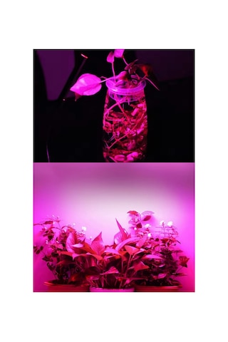 Grow Led 72ledli 12v5630 Full Spectrum Bitki Yetiştirme Ledi 1mt.