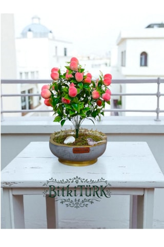 Bitkitürk-beton Saksıda Yapay Şeftali Ağacı Bonsai Ofis Salon Caf