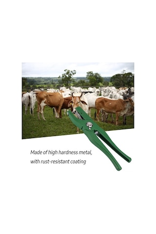 Carrier- Moda Trendleri Hayvan Kulak Küpesi Takma Pensesi - 1 Adet