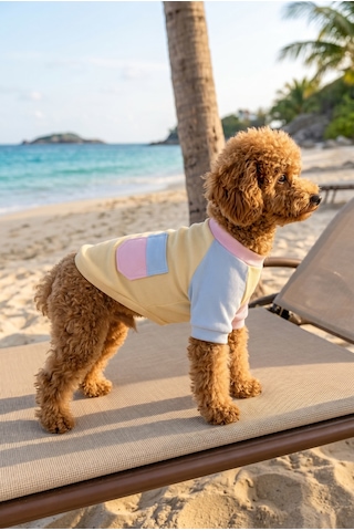 Soft Sun Köpek Tişörtü Cepli Şeker Renkli Yazlık Köpek Kıyafeti Küçük Irklar İçin