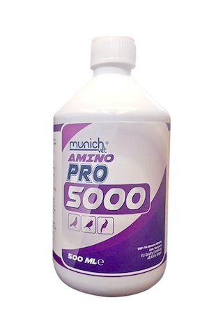Amino Asit Pro 5000 500 Ml