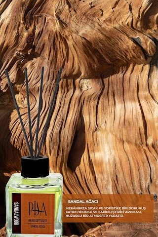 Pisa Sandal Ağacı Çubuklu Oda Kokusu Sandalwood Reed Diffuser 100ml Amber - Anti-Stres - Bahçe Gülü - Beyaz Sabun - Pudra - Sandal Ağacı - Yasemin