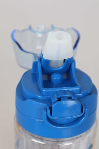 Yeni Sezon Lisanslı Hot Wheels Trıtan Matara 500 ML