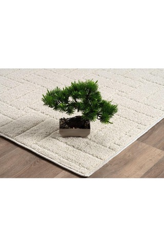 Raschel Carpet Kaymaz Taban Moopy Krem Rengi Bukleli Yumuşak Soft Dokuma Yolluk Halı Salon Halısı Lp1001a, 100 X 450 Diğer