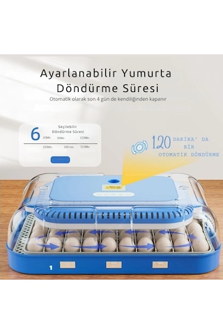 70 Yumurta Kapasiteli Tam Otomatik Kuluçka Makinesi Nem Kontrollü, Kaz Uyumlu, Dijital Sistem