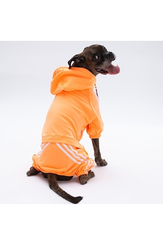 Pawstar Turuncu Tuta Orta ve Büyük Irk Köpek Tulumu Köpek Kıyafeti