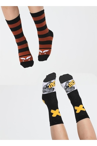 Casabony Fox&dino 2'li Paket Erkek Çocuk Çorap-desenli Çok Renkli