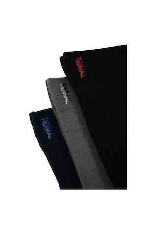 Tampap Erkek Dikişsiz Termal Çorap 6lı Paket Çok Renkli