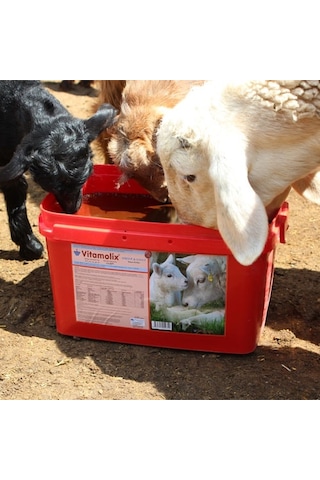 Vitamolix Sheep 22.5 Kg