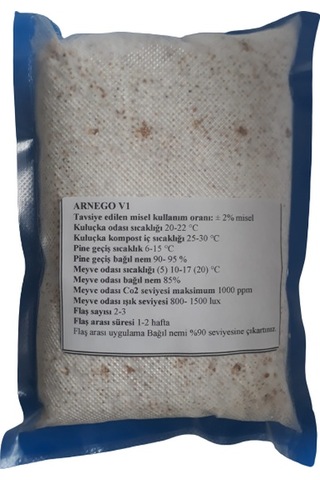 İstiridye Mantar Tohumu N118613