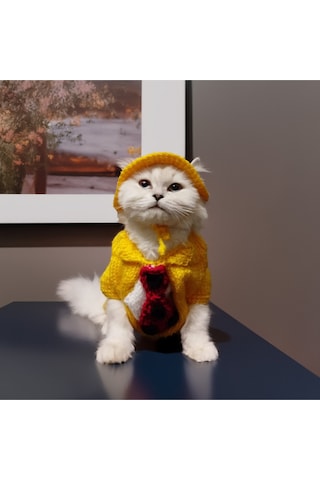 Kedi Ve Köpek İçin Maske The Mask Kostümü
