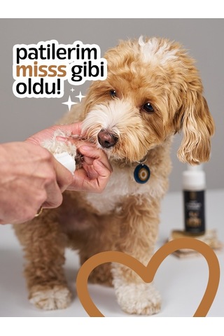 Doku Pet Cosmetic Kedi Ve Köpek Pati Temizleme Köpüğü 150 ML