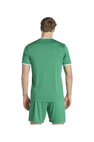 Teagrn/whıte Adidas Erkek Futbol Forma Ent26 Gfx Jsy Kb3970 Yeşil