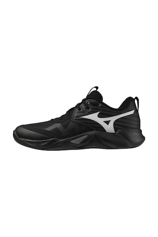 Mizuno Wave Momentum Pro Erkek Voleybol Ayakkabısı Siyah Çok Renkli