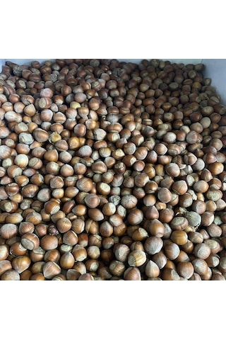 Baloğlu Kabuklu Fındık 1 KG Baloğlu Kabuklu Fındık 1 KG