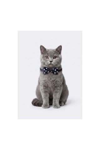 Kedi Papyon Tasma Lacivert